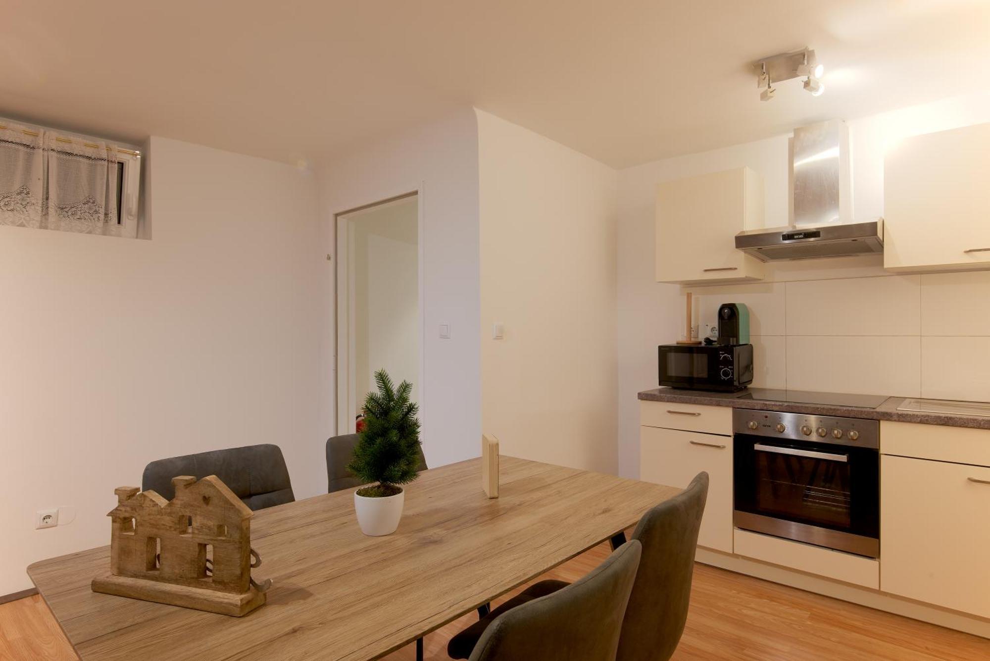 Spacious Near Schoenbrunn Castle Apartment Vienna