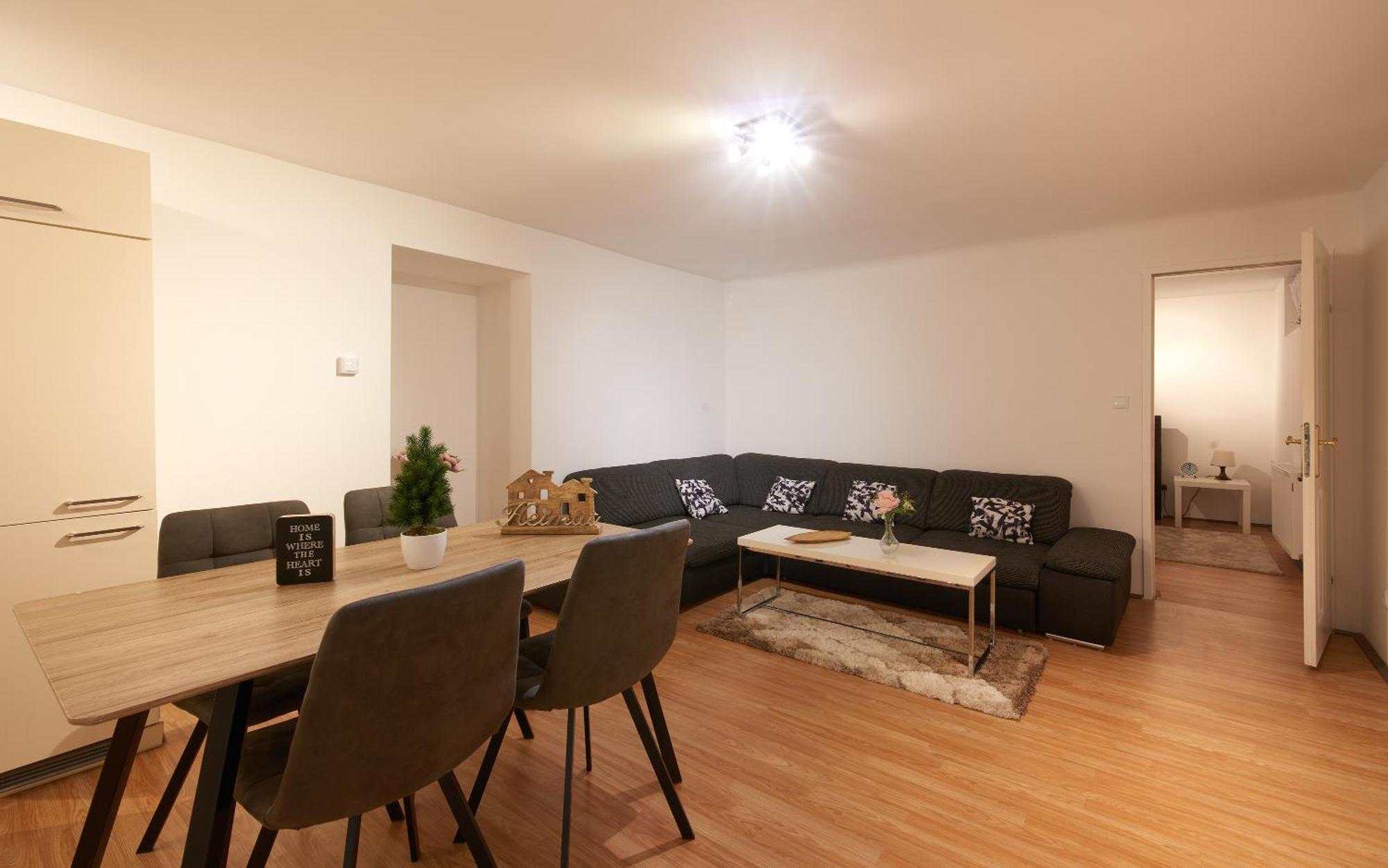 Apartment Spacious Near Schoenbrunn Castle Vienna
